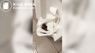 Female Scat Comp Vol. 3