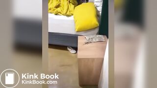 African drunk girl shits herself,friend records