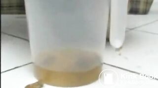 One of my new favorite scat videos - video 134