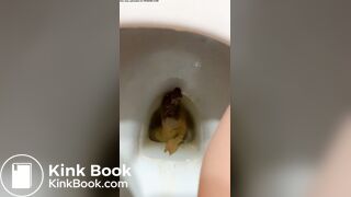 Model clogs toilet with thick turd