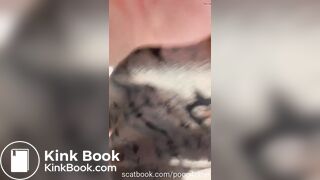 Sabrina big ass pooping on toilet