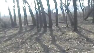 outdoor shit - video 8