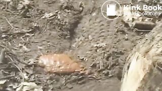 outdoor shit - video 8