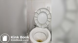 Brasileira peituda merda na privada