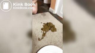 Thick poop missed plate