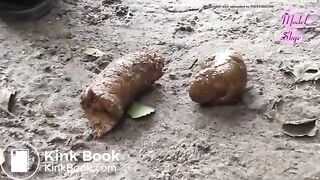 Nice poo at a lake in the woods..