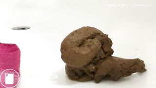 Scat 267
