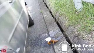 Asian girl squats to relieve herself on a car journey