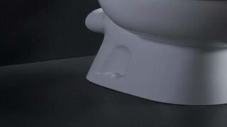 A Lady's Morning Poop