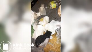 porta potty - video 2