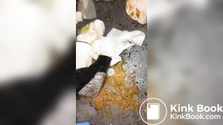 porta potty - video 2