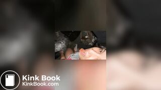 porta potty - video 2