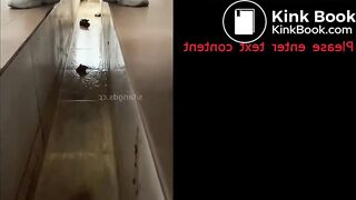 Fresh Morning Dry Turd