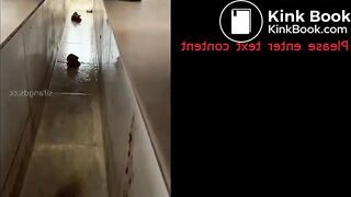 Fresh Morning Dry Turd