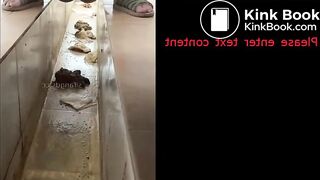 Fresh Morning Dry Turd