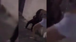 Girl Shit diarrhea in her pants while figth