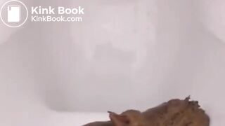 Japanese woman's toilet scene - video 53