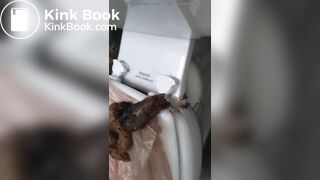 Girl shits a messy pile on the toilet lid