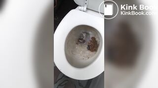 Girl shits a messy pile on the toilet lid