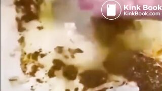 Nutbusting Diarrhea Comp