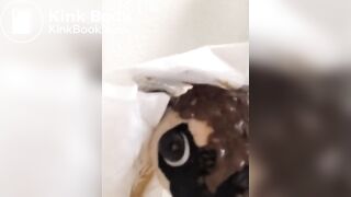 One of my new favorite scat videos - video 39