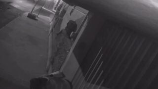 Cctv Girl pooping on the street