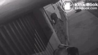 Cctv Girl pooping on the street