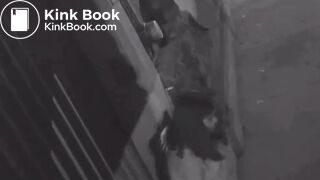 Cctv Girl pooping on the street