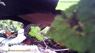 Leaking vaginal grool while pooping at a festival..