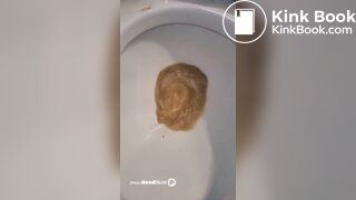 SSBBW explodes on Toilet