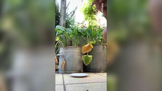 Hot girl shitting outdoors on a plate