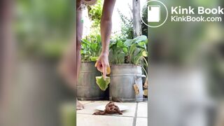 Hot girl shitting outdoors on a plate