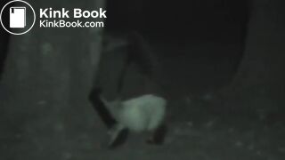 Pooping at a festival in the dark..