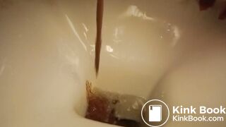 a sandwich gone liquid so quickly