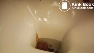 a sandwich gone liquid so quickly