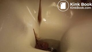 a sandwich gone liquid so quickly