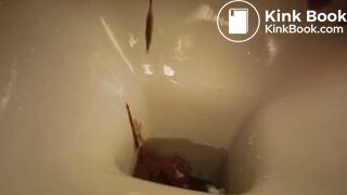 a sandwich gone liquid so quickly