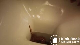 a sandwich gone liquid so quickly