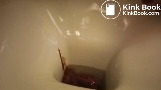 a sandwich gone liquid so quickly