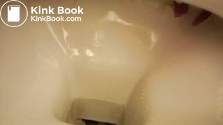 a sandwich gone liquid so quickly