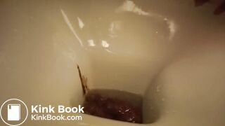 a sandwich gone liquid so quickly