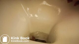 a sandwich gone liquid so quickly