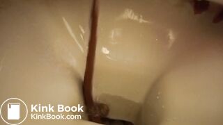 a sandwich gone liquid so quickly