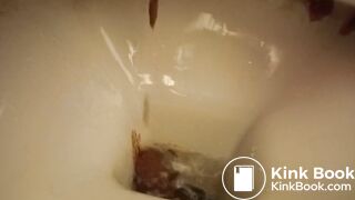 a sandwich gone liquid so quickly