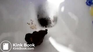 Constipated poo and toilet flush..