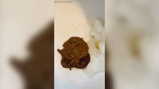 Having fun with a toilet poo..