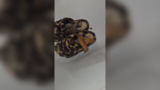 Indian girl poo on her slippers