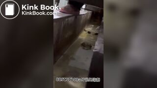 spy camera asian girl pee and shit.video_476