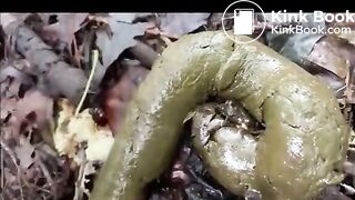 Outdoor poo in the woods..