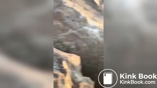 Sunsets and Shit Logs